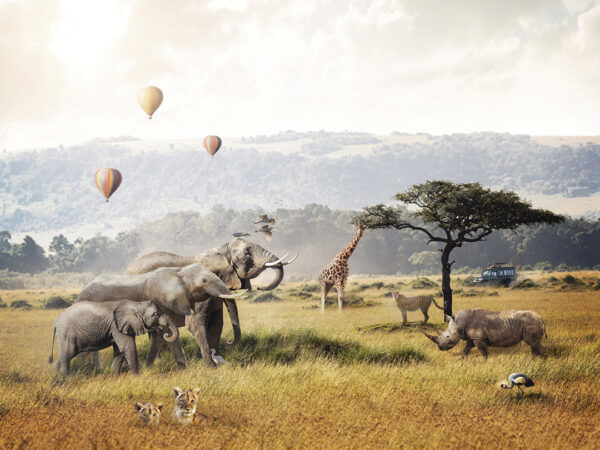 Whispers of the Wild - Art Studio Ke