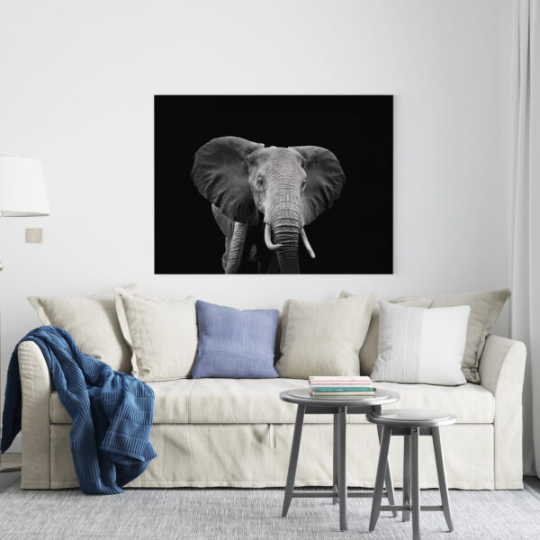 Gentle Giant - Art Studio Ke