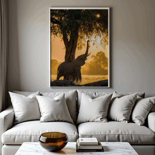 The Sun's Embrace - Image 2